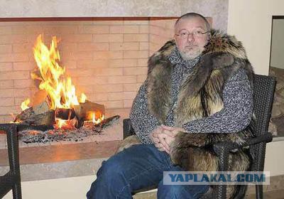 Сенатор внес законопроект об арестах за неуважение к власти в интернете