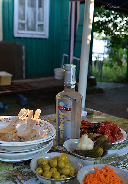 Дачная юшка на берегу Днепра