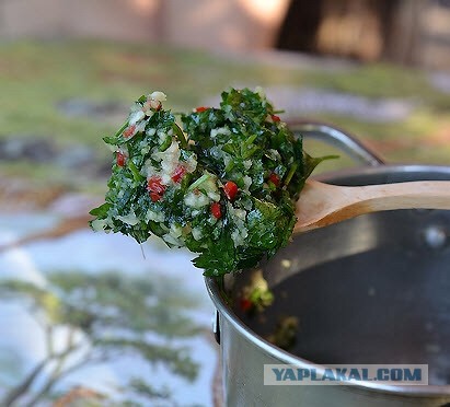 Дачная юшка на берегу Днепра