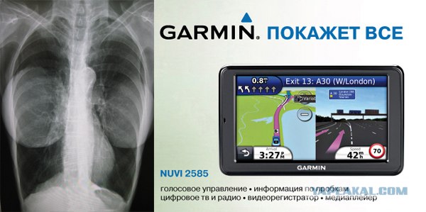 Навигатор с сиськами