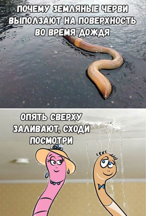 Чуток картинок 18.11.19