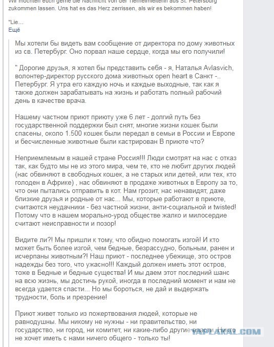 Помогите вернуть кота! Приют "Преданное сердце" украл кота и не отдает!-2