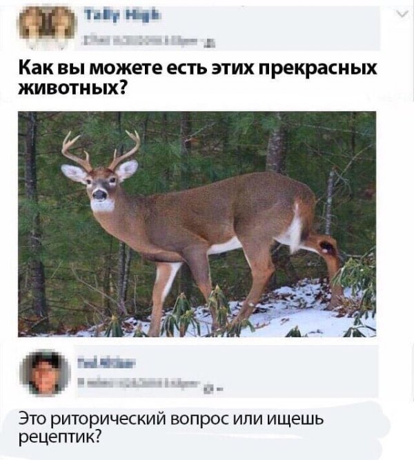 Картинки для настроения