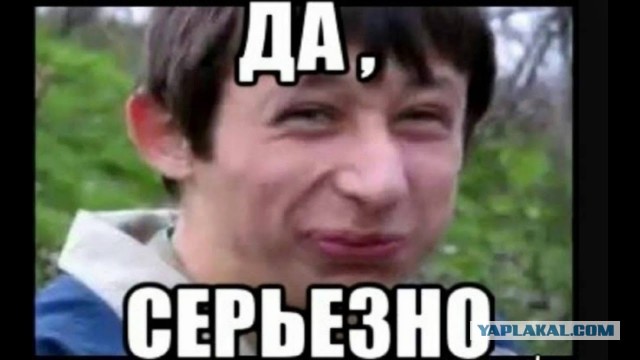 14048357.jpg