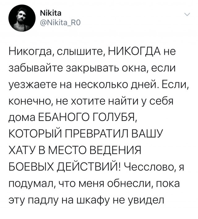 «Картинки разные нужны, картинки разные важны»