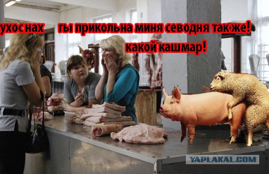ФОТОЖАБА: Мясной рынок