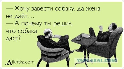 Кто хочет познакомиться?