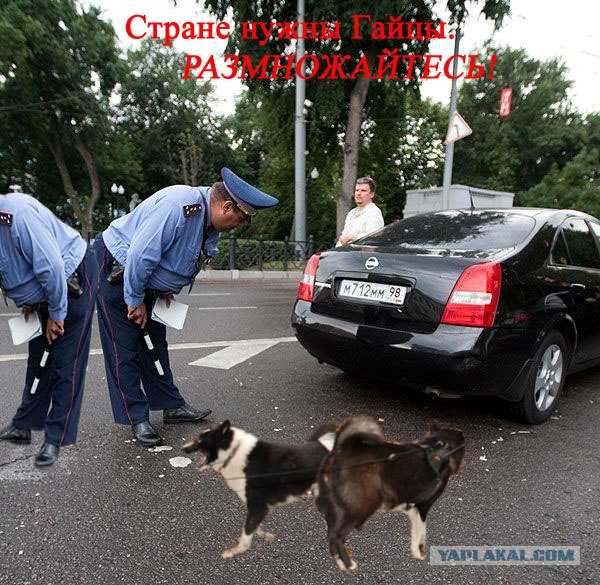 Наша служба и опасна и трудна