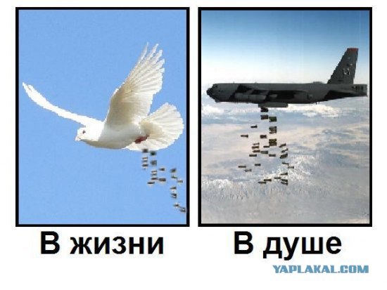 Кто есть кто?