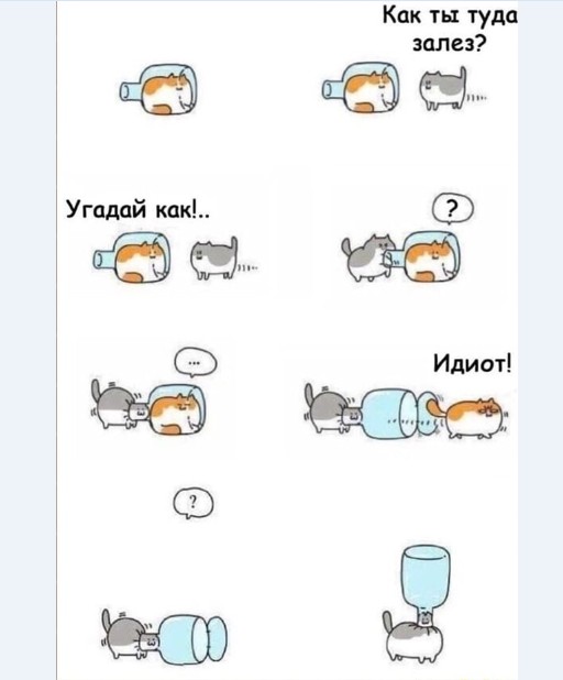 Бредзона 12.12.20