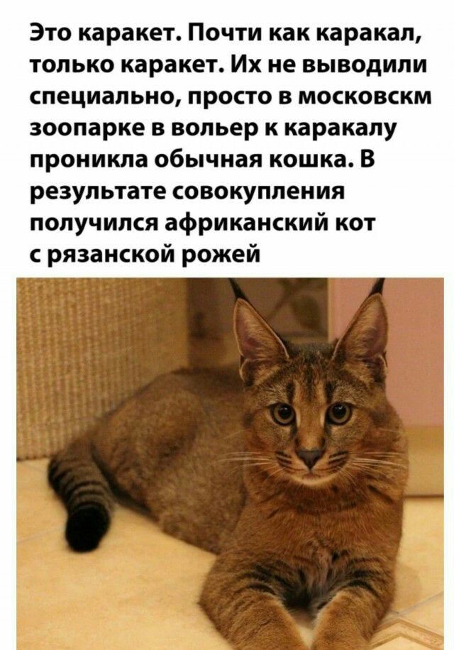 Подборка фото