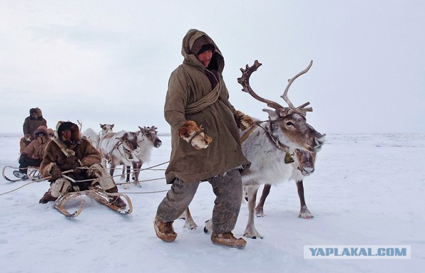 12 замечательных новогодних песен