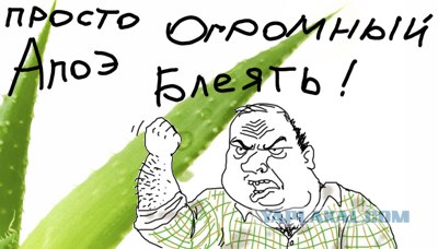 Наркоман Павлик в Испании