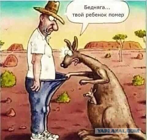 Если друг отказался вдруг...