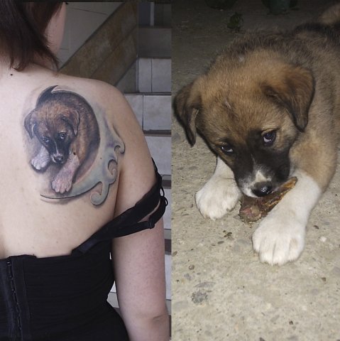 16 людей, которые сделали себе никудышную татуировку, но хорошие мастера всё исправили