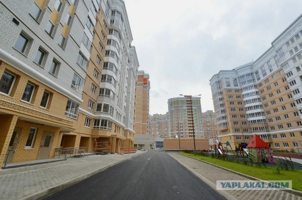 "Где вы берете еду?" Интернет-пользователи на Западе смакуют гигант-человейник в Кудрово