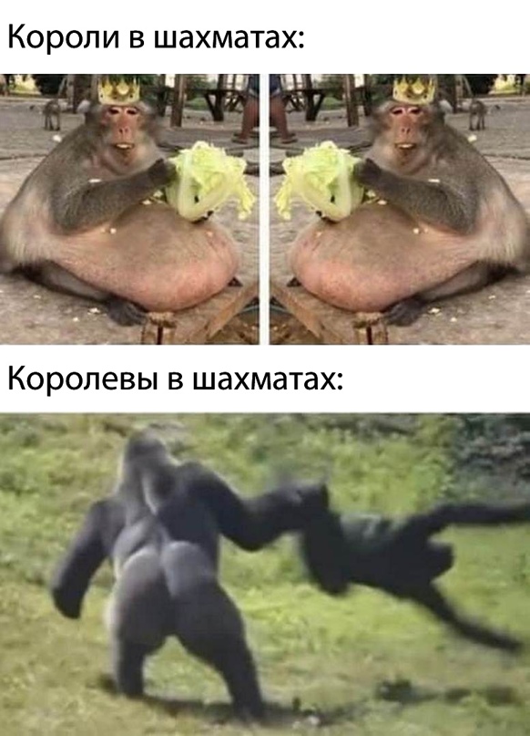 Картинки и мемы для настроения 17.11.2021