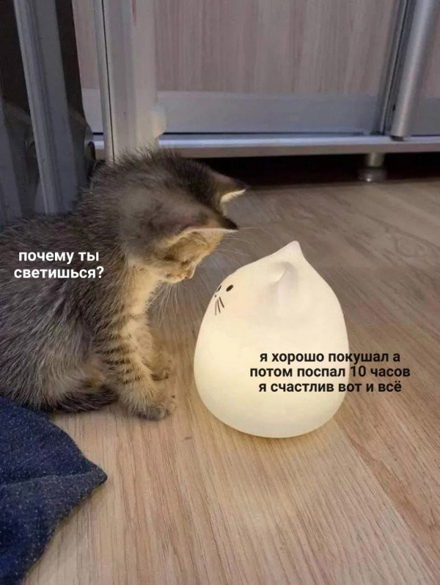 Всякие разные картинки 22.11.2021