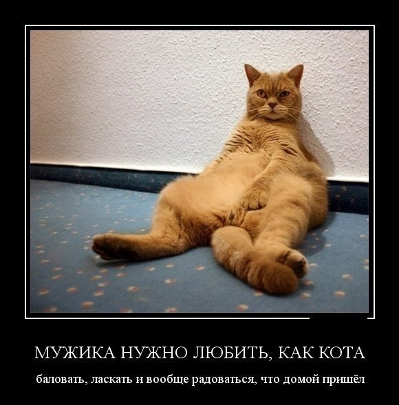 Картинки на*уй не нужны, картинки на*уй не важны