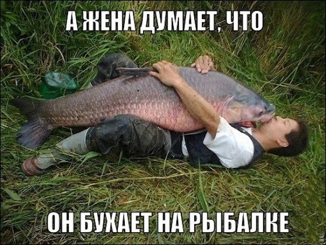 Рыбов, показываю. Красивое