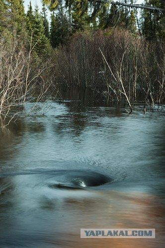 Водовороты