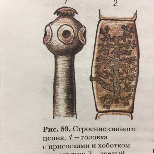 Подборка. Реакция мужа на утиные губы