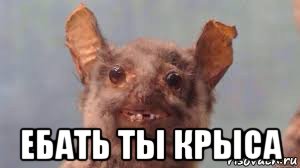 И для руководства сгодятся