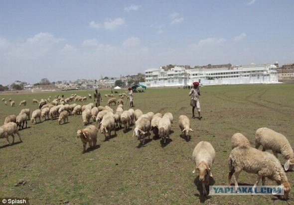 Путешествие по Индии