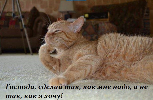 Чуток картинок 20.02.22