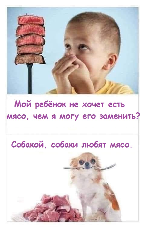 На Серьёзных Щах (ч.1)