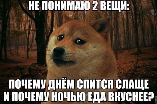 Три моих вопроса