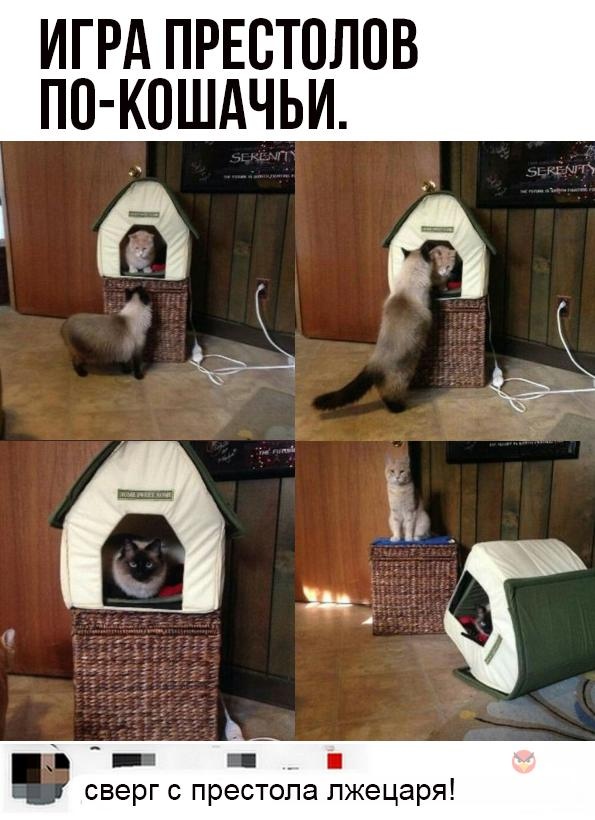 Так себе картинки 14.05.22