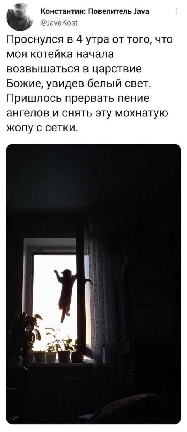 Юмор в картинках и без