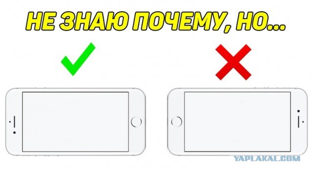 Картинки и мемы, всем хороших выходных