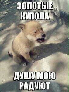 "Друзья! Просьба всесторонне оценить мою песню!"