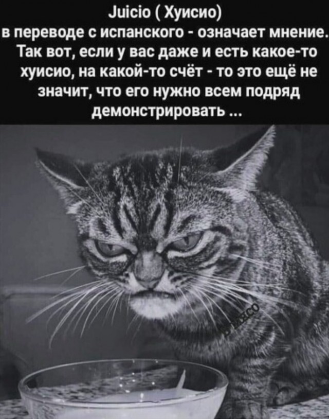 Так себе картинки 02.03.23