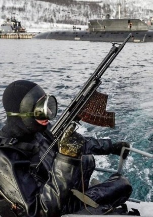Боевые пловцы: воины трех стихий