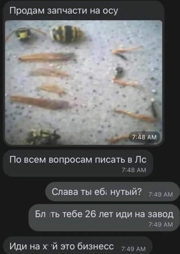 Мужик решил убрать гнездо шершней и вот что вышло