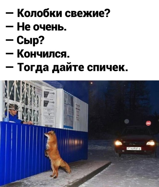 Романы и баяны