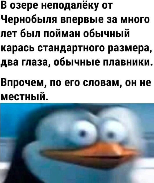 Нуштош 22.09.2023