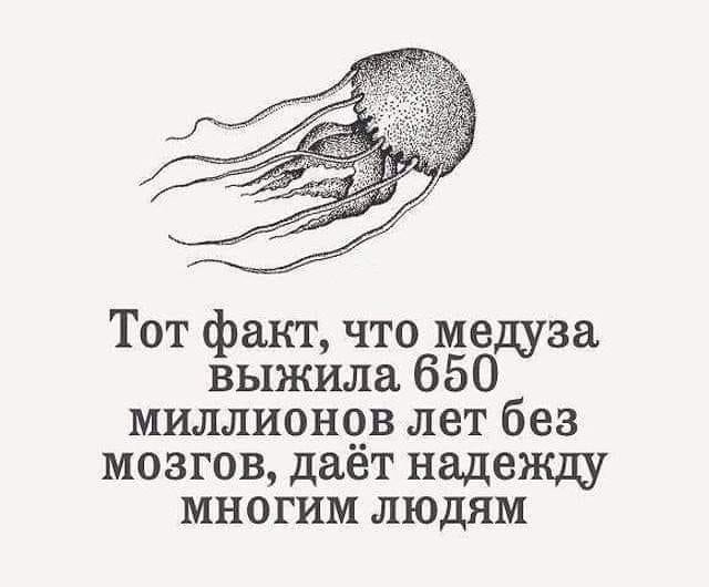 Актриса Шукшина призвала бойкотировать артистов из-за вечеринки Ивлеевой