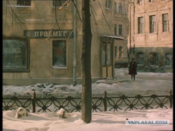 Котовторник 30.04.2013