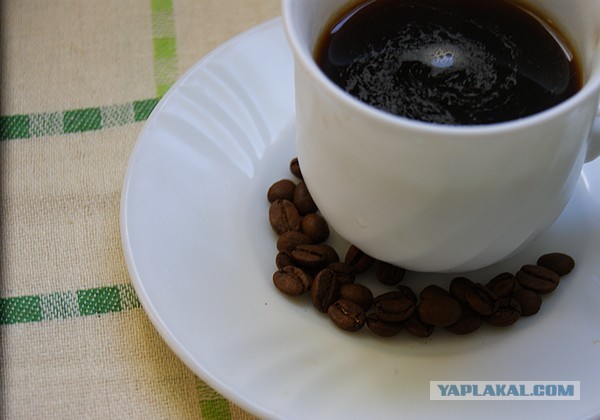 Домашнее мороженое, которое лучше, чем покупное))