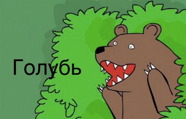 Голубов, бросай Пахачи и в Питер