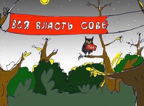 Так себе картинки 28.10.24