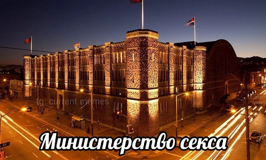 Меня твой шеф прислал