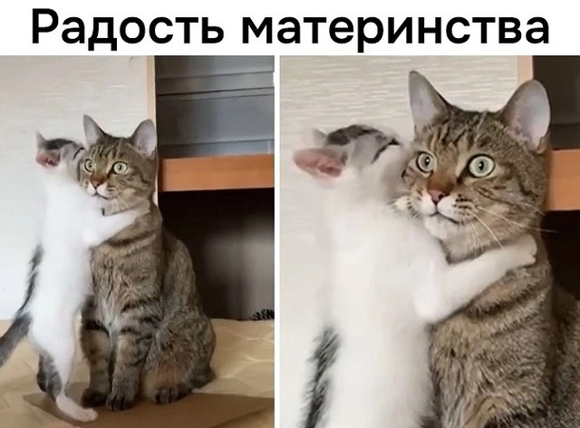 Завалялось тут случайно немного забавных картинок