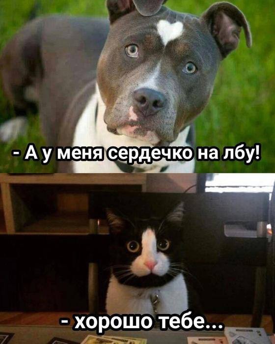 Картинки на 21 января