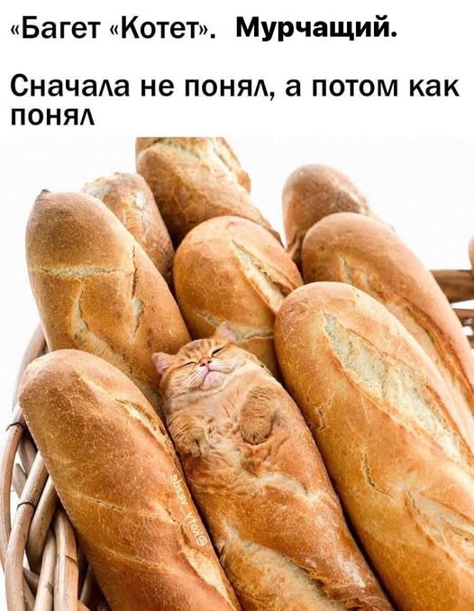 Так себе картинки 17.02.25