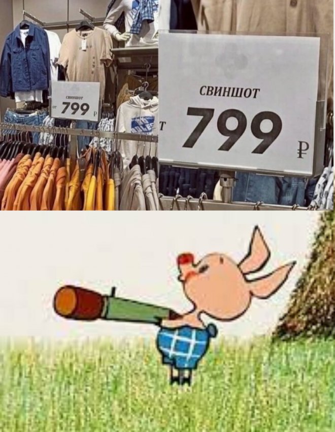 20316357.jpg